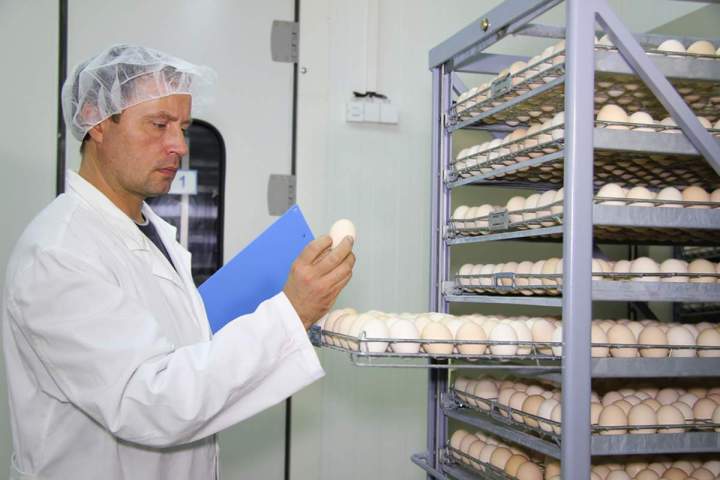 Contrôle sanitaire Nancy